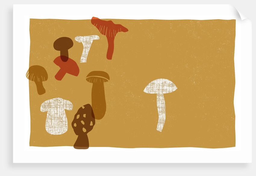 Mushrooms by Anonymous