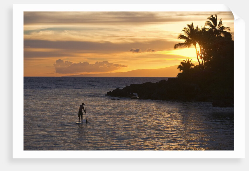 Stand-up paddler at sunset on Maui, Hawaii by Anonymous