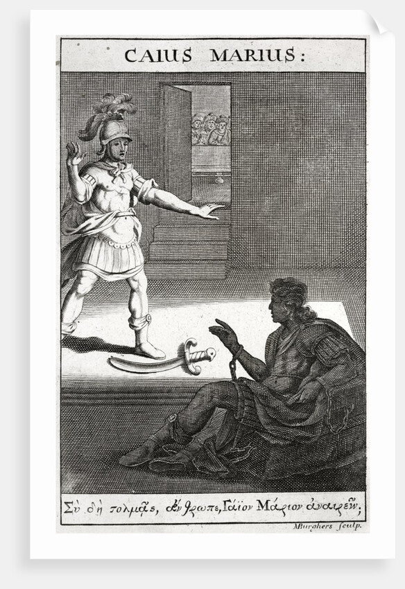 Gaius Marius by Anonymous