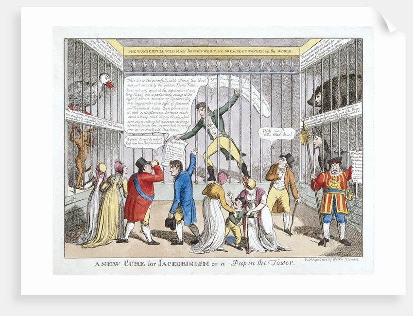 A New Cure for Jackobinism or a Peep in the Tower by Anonymous