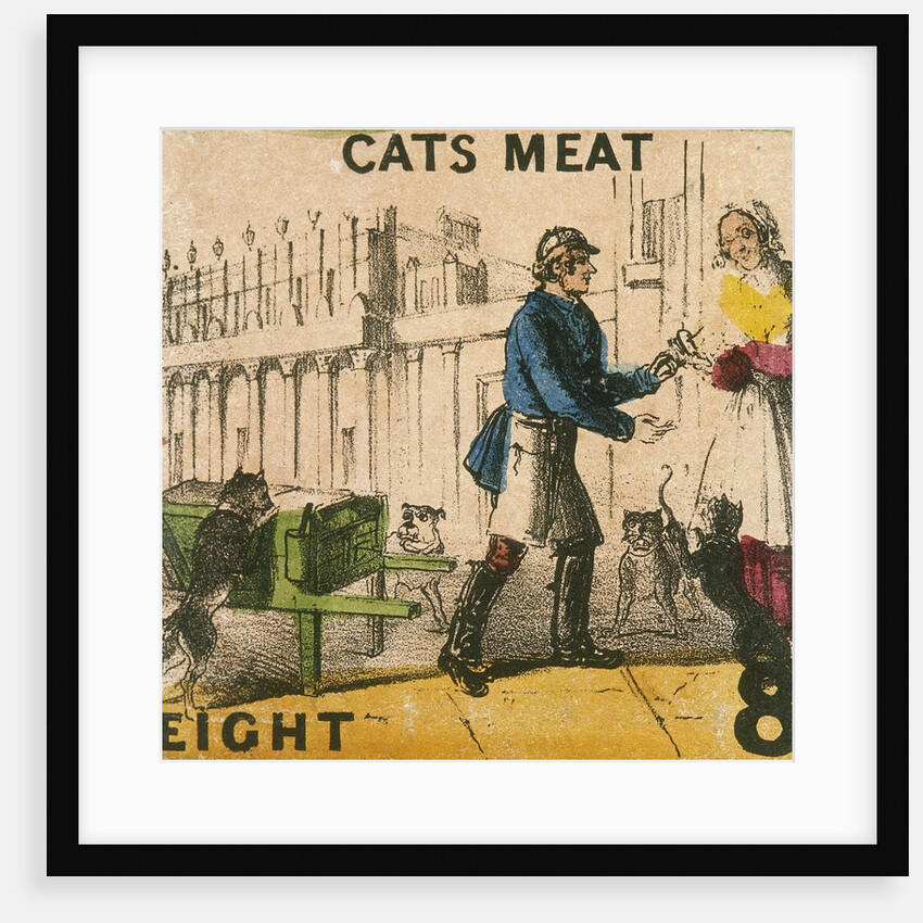 Cats Meat by T.H. Jones