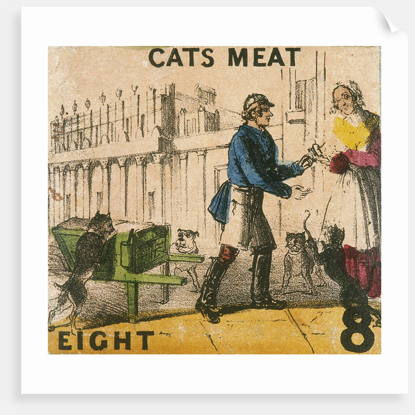 Cats Meat by T.H. Jones