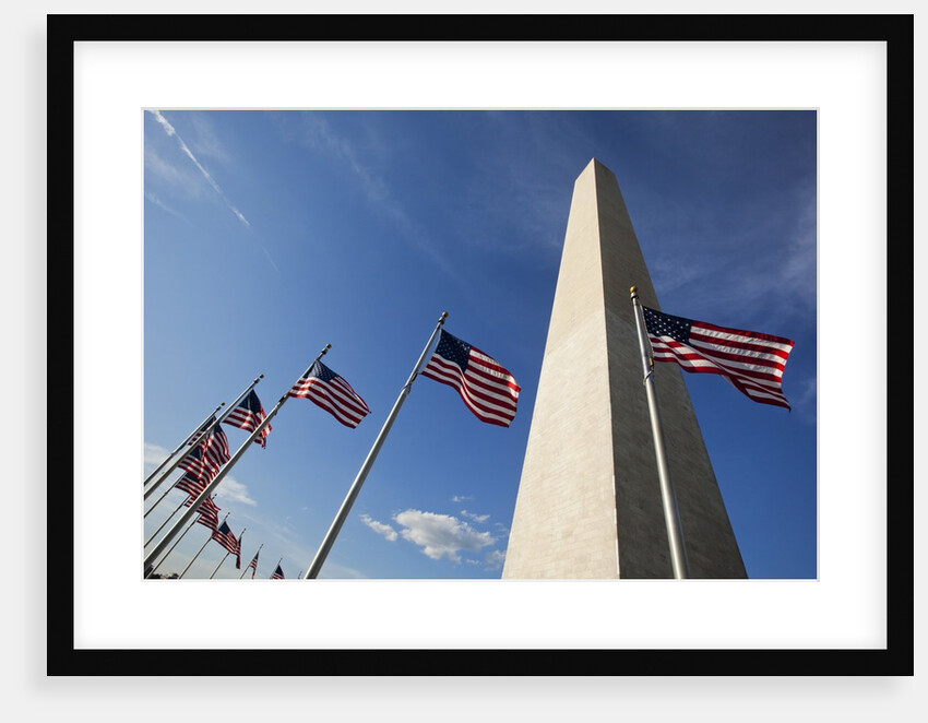 American flags encircling Washington Monument by Anonymous