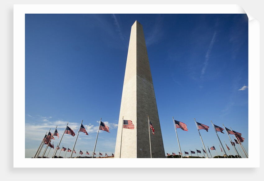 American flags encircling Washington Monument by Anonymous
