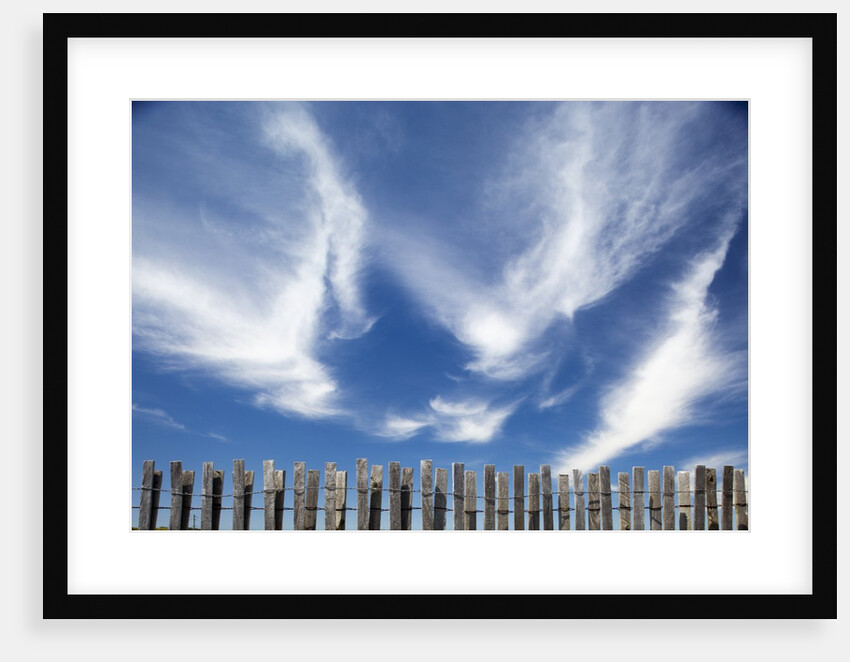 Cirrus clouds in summer sky by Anonymous