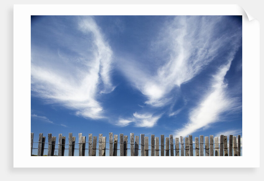 Cirrus clouds in summer sky by Anonymous