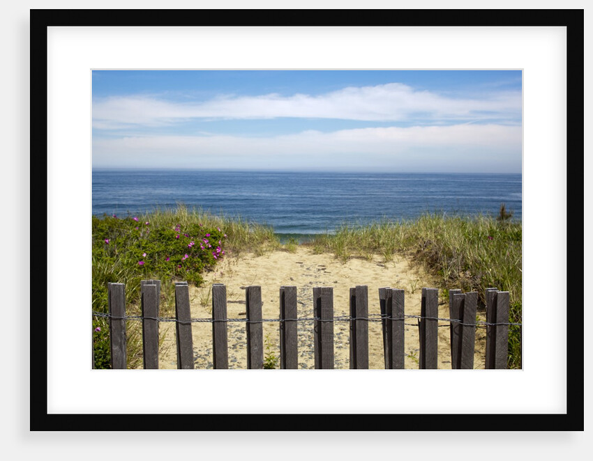 Fence and sand dunes on coast by Anonymous