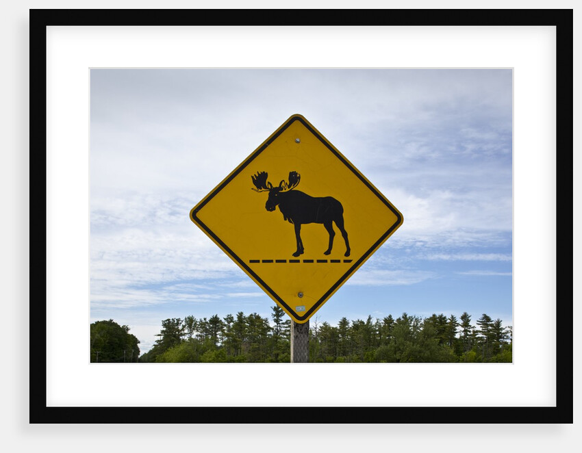 Moose crossing sign by Anonymous