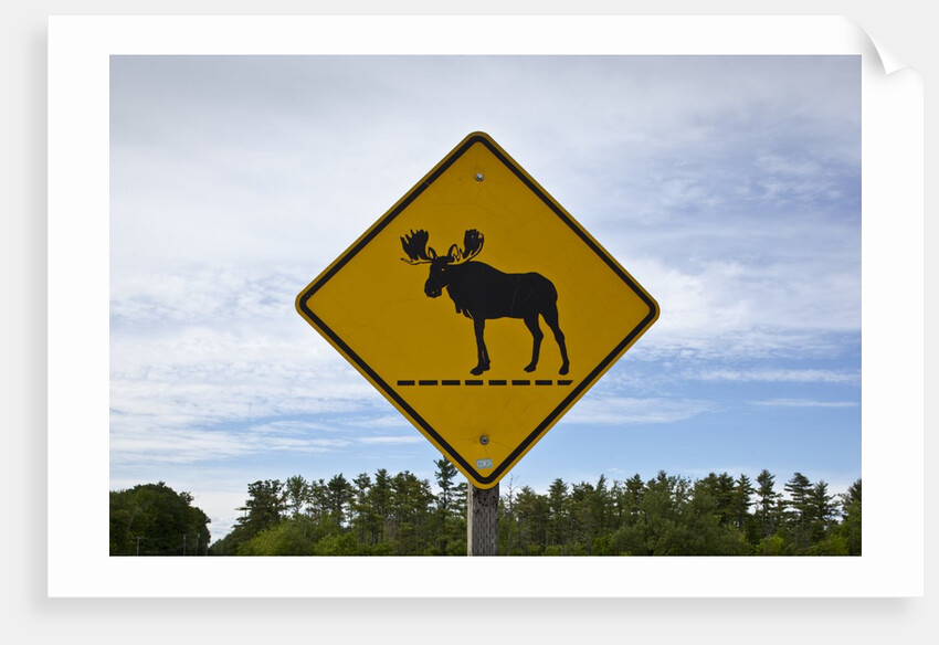 Moose crossing sign by Anonymous