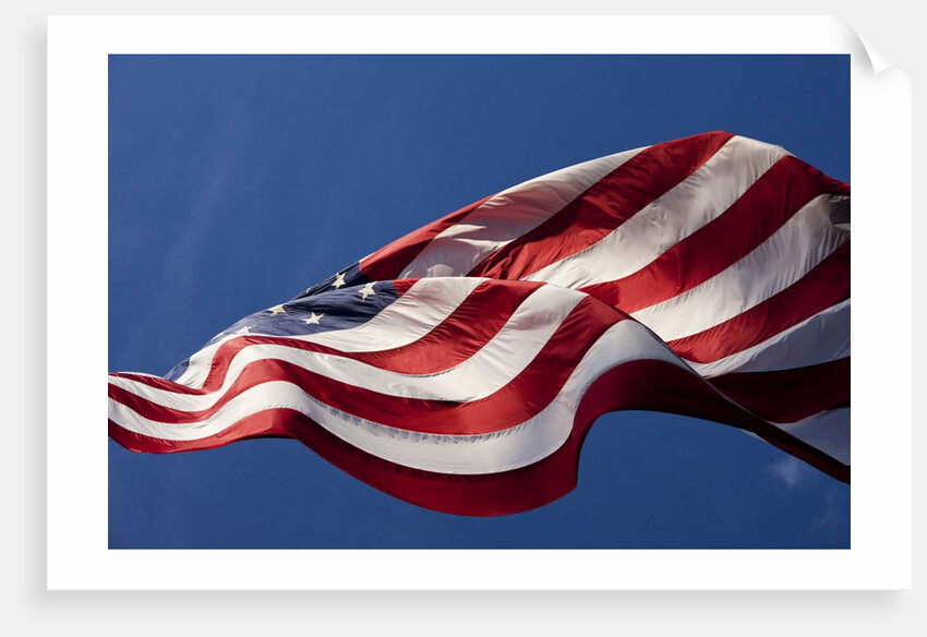 American Flag, Washington by Anonymous