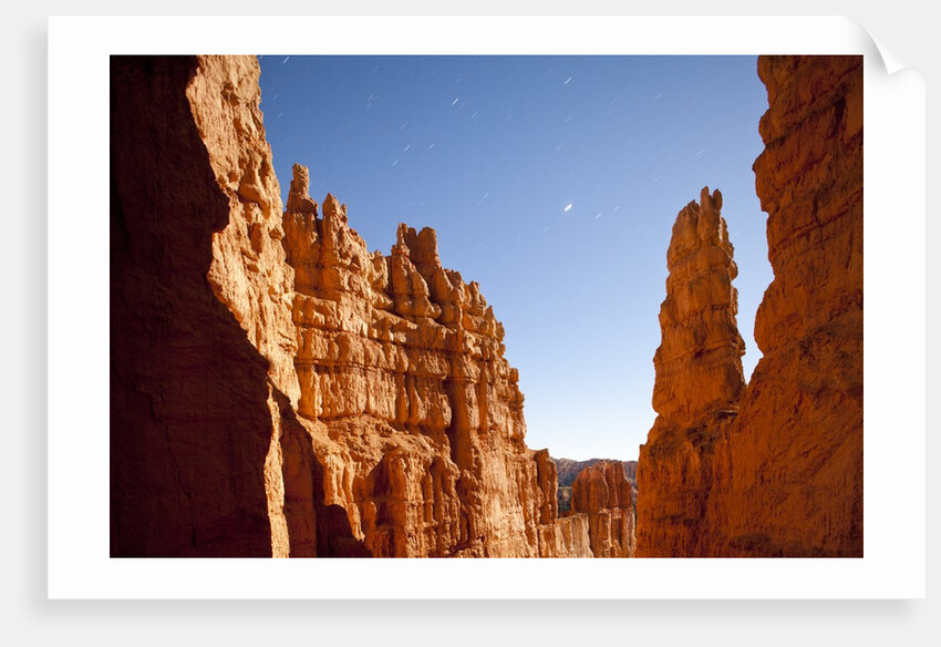 Rock formations in Bryce Canyon National Park in moonlight by Anonymous