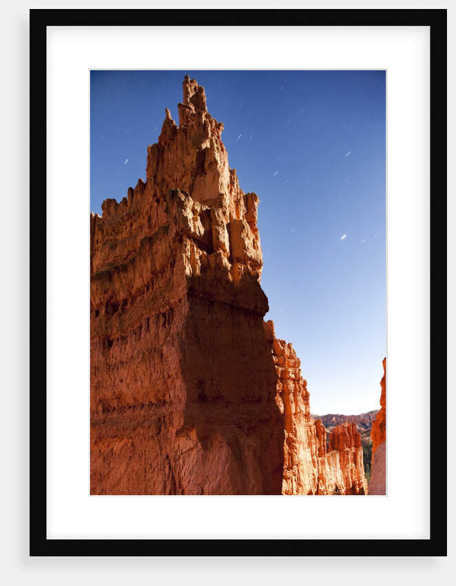 Rock formations in Bryce Canyon National Park in moonlight by Anonymous