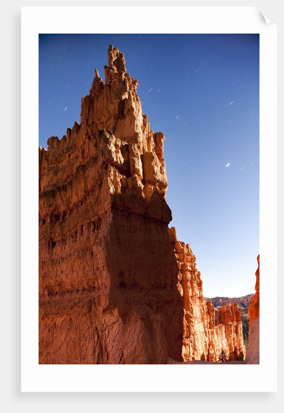 Rock formations in Bryce Canyon National Park in moonlight by Anonymous