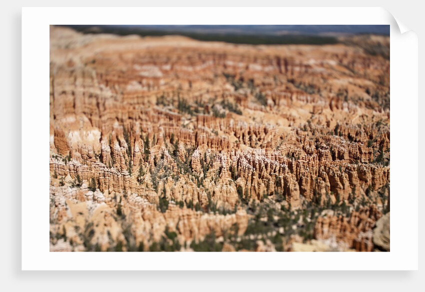 Bryce Canyon National Park by Anonymous