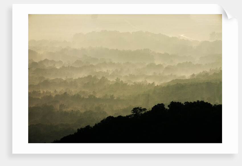 Skyline Drive, Shenandoah National Park, Virginia by Anonymous
