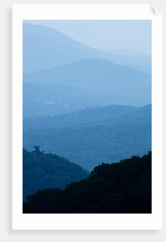 Skyline Drive, Shenandoah National Park, Virginia by Anonymous