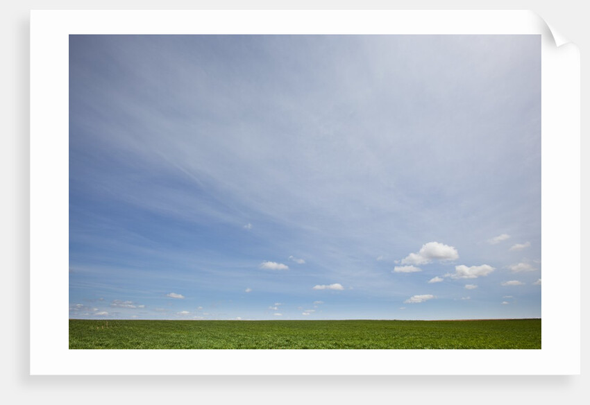 Sky above wheat field by Anonymous