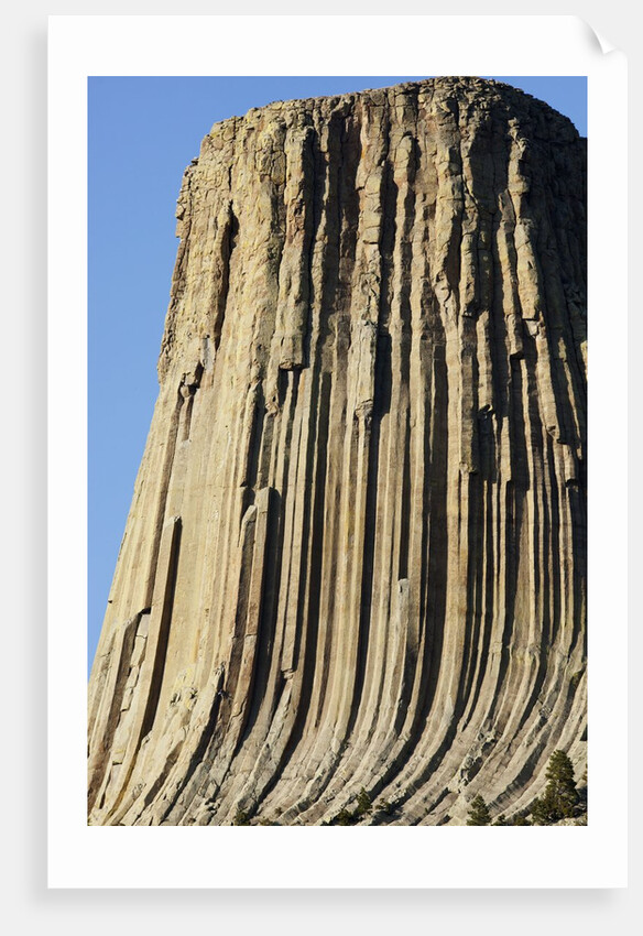 Devils Tower National Monument by Anonymous