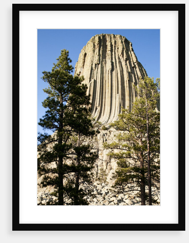 Devils Tower National Monument in Wyoming by Anonymous