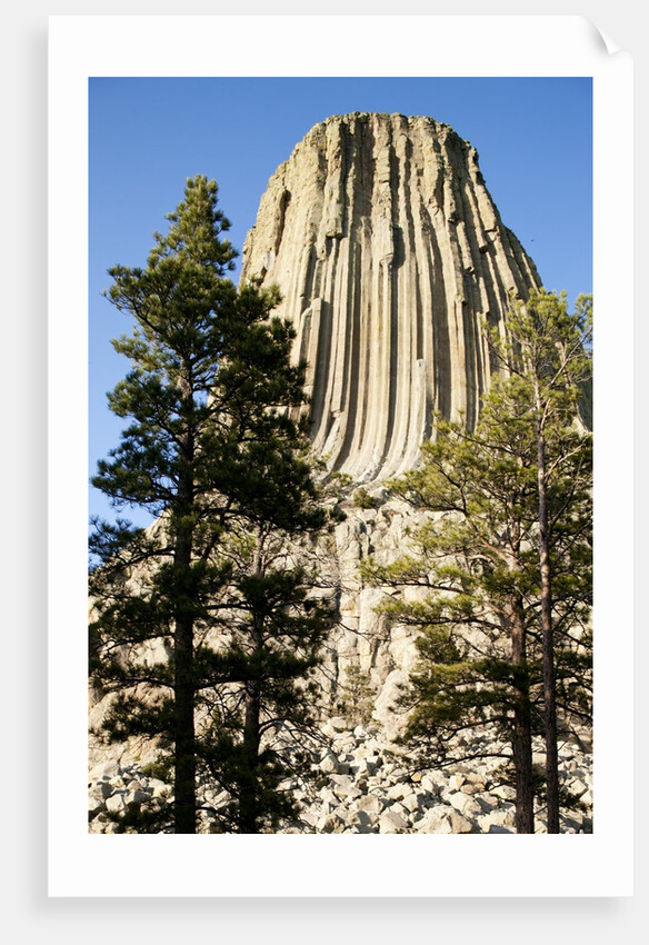 Devils Tower National Monument in Wyoming by Anonymous