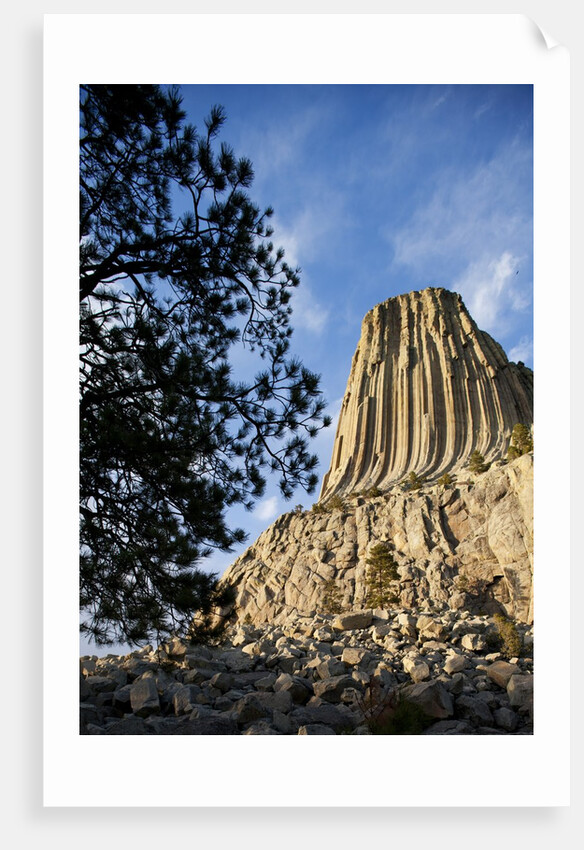 Devils Tower National Monument in Wyoming by Anonymous