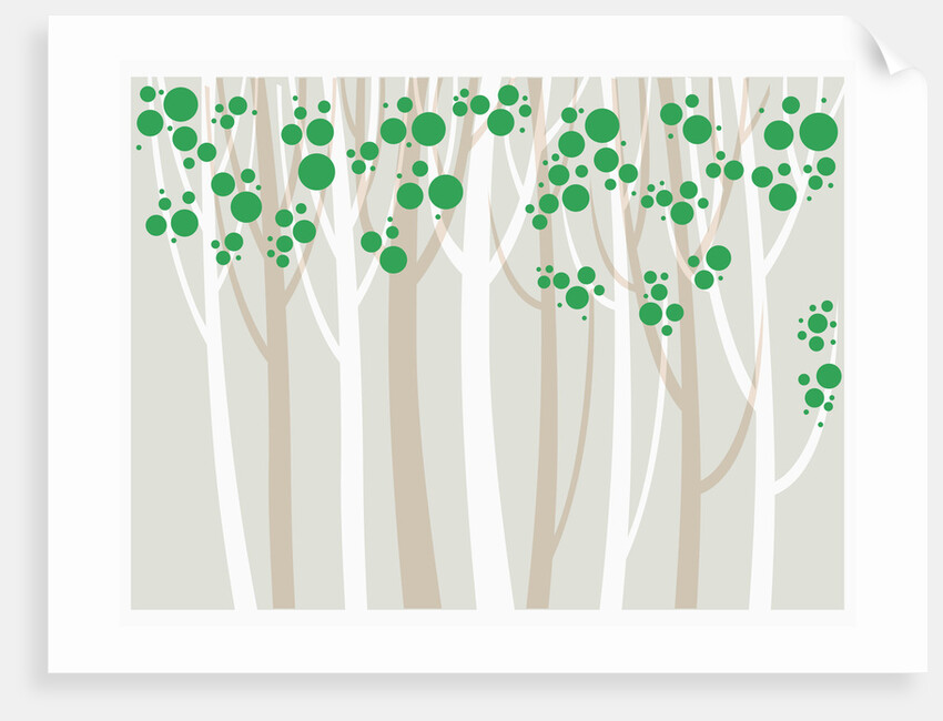 Forest illustration by Anonymous