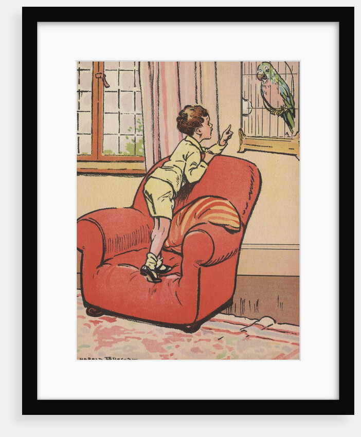 Boy talking to pet parrot by Anonymous