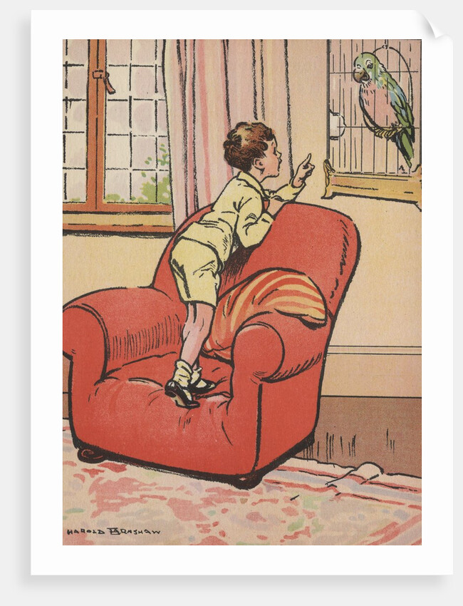 Boy talking to pet parrot by Anonymous
