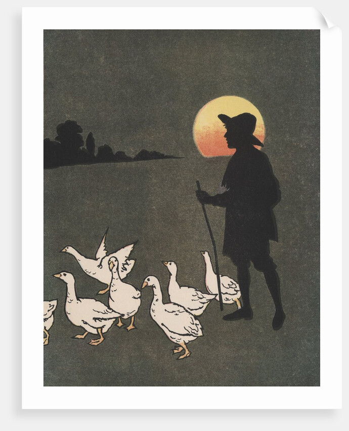 Boy hearding geese at sunset by Anonymous
