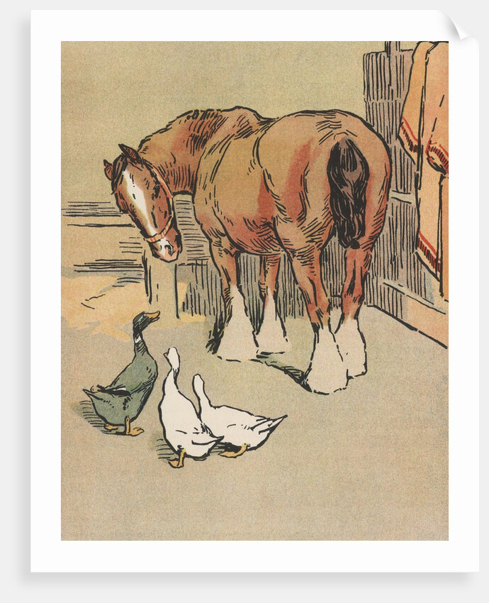 Horse and ducks by Anonymous
