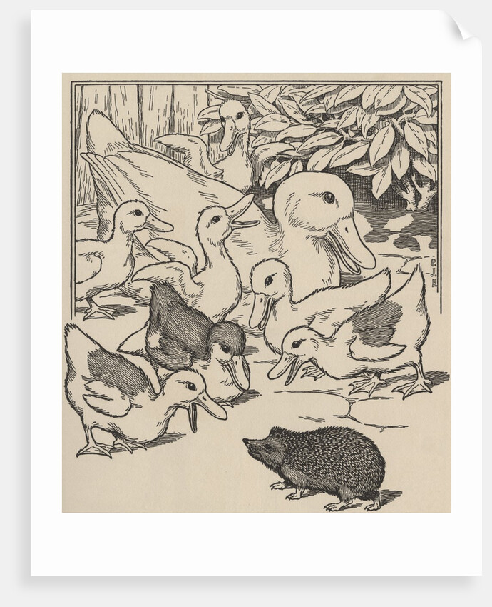 Hedgehog and ducklings by Anonymous
