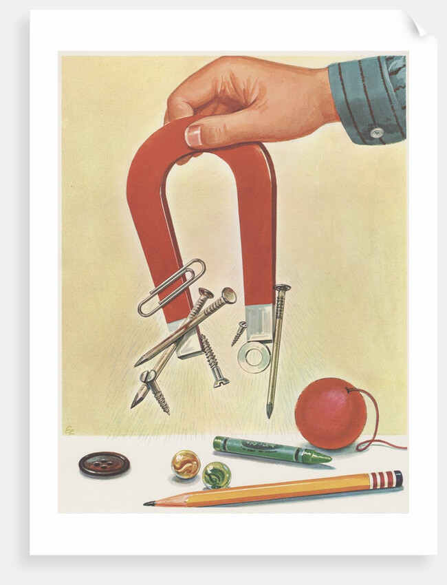 Metal objects sticking to magnet by Anonymous