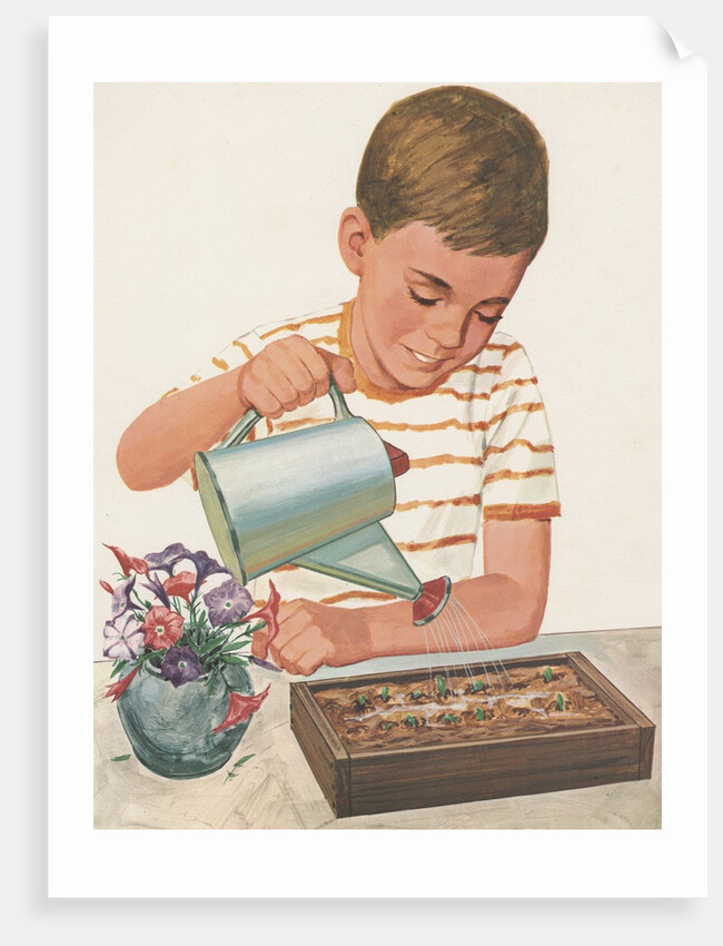 Boy watering plants by Anonymous