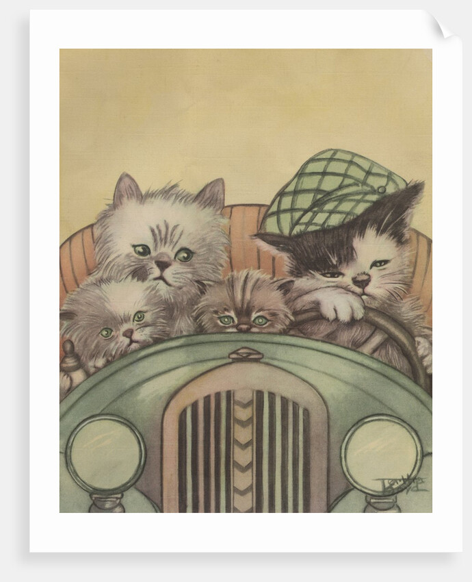 Cat family driving in car by Anonymous