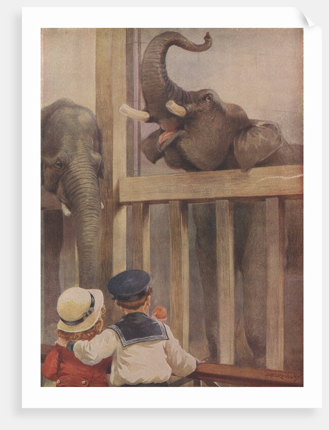Children looking at elephants in zoo by Anonymous
