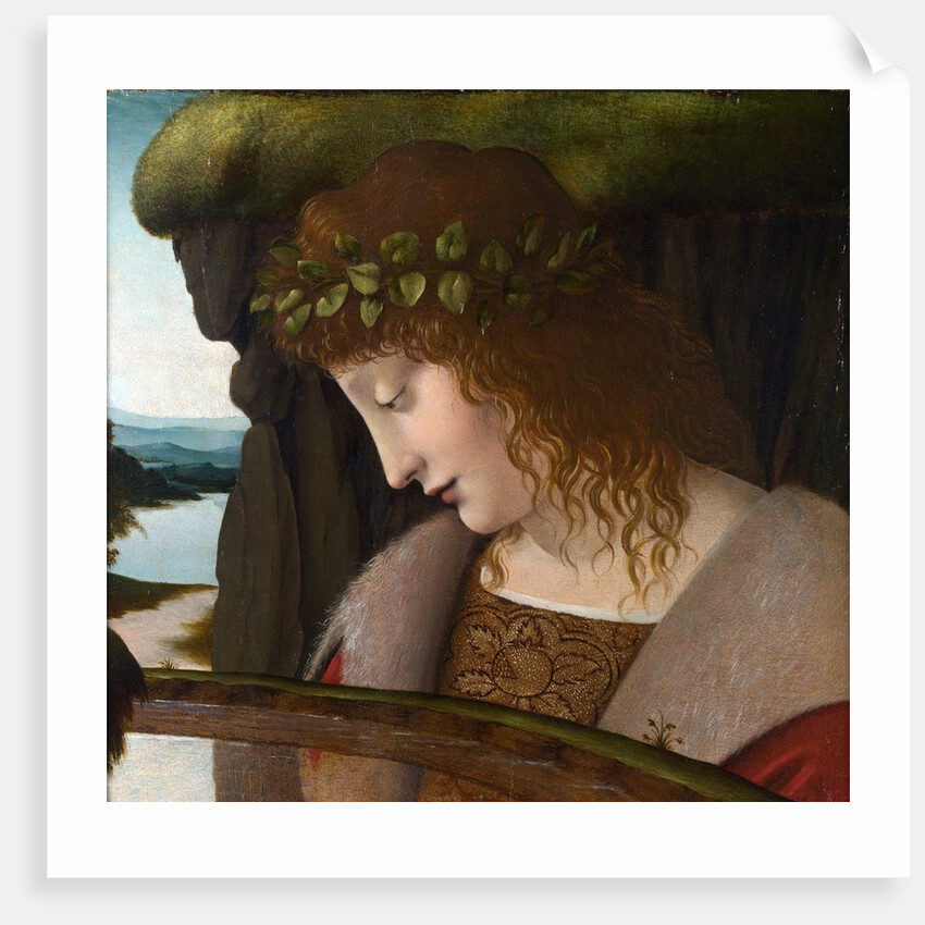 Narcissus by a Corbis