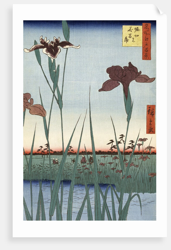 Horikiri Iris Garden by Utagawa Hiroshige