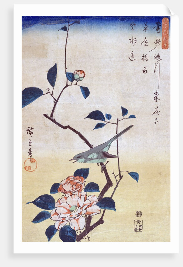 Tsubaki ni Uguisu (Camellia and Bush Warbler) by Utagawa Hiroshige