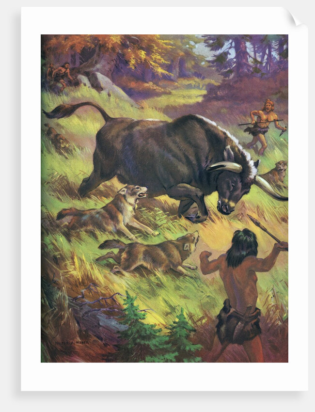 Cavemen hunting an auroch by Anonymous