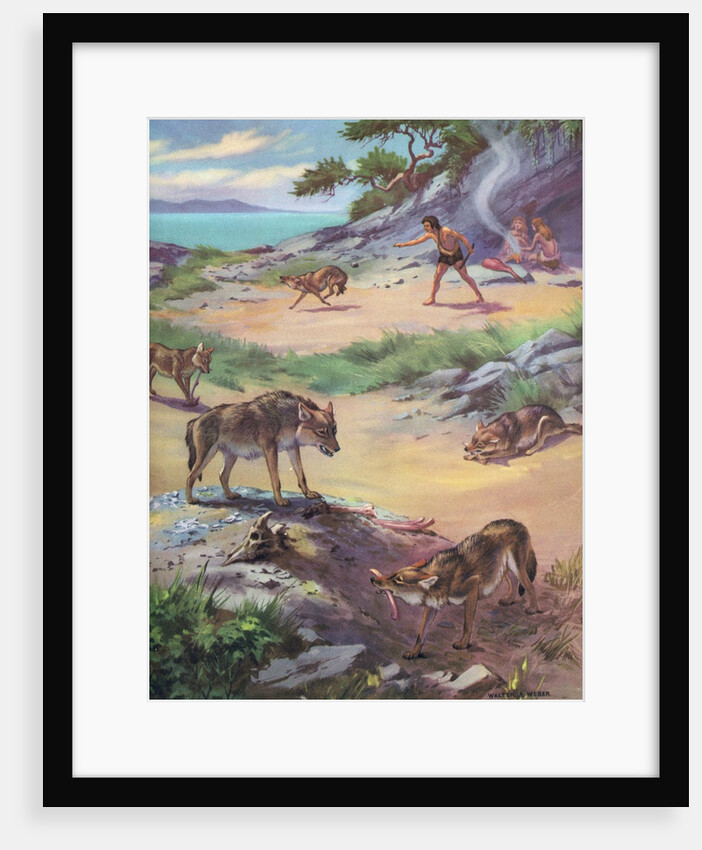 Jackals stealing food from cavemen by Anonymous