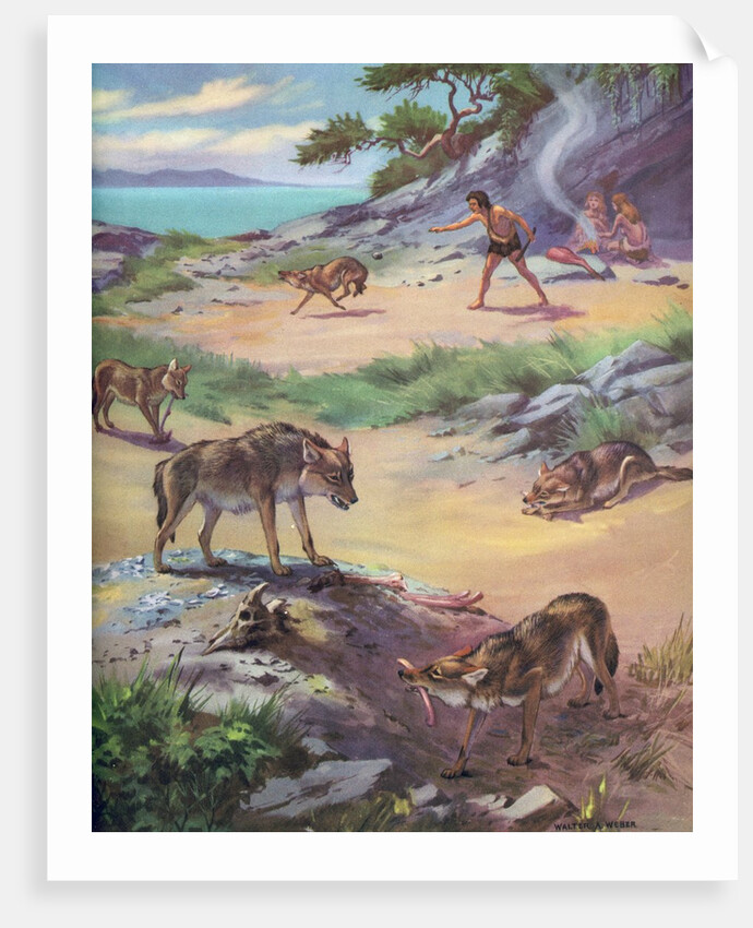 Jackals stealing food from cavemen by Anonymous