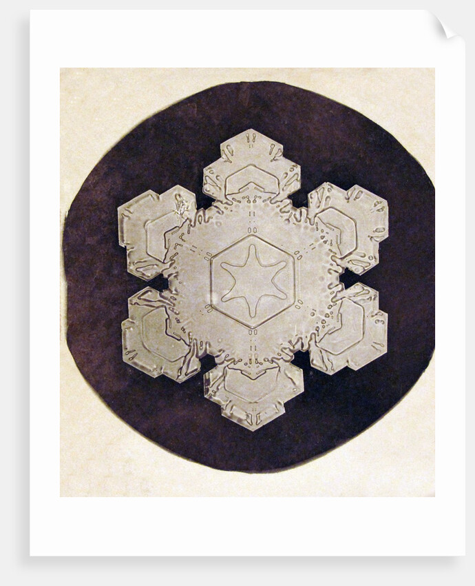 Study of a snowflake by Anonymous