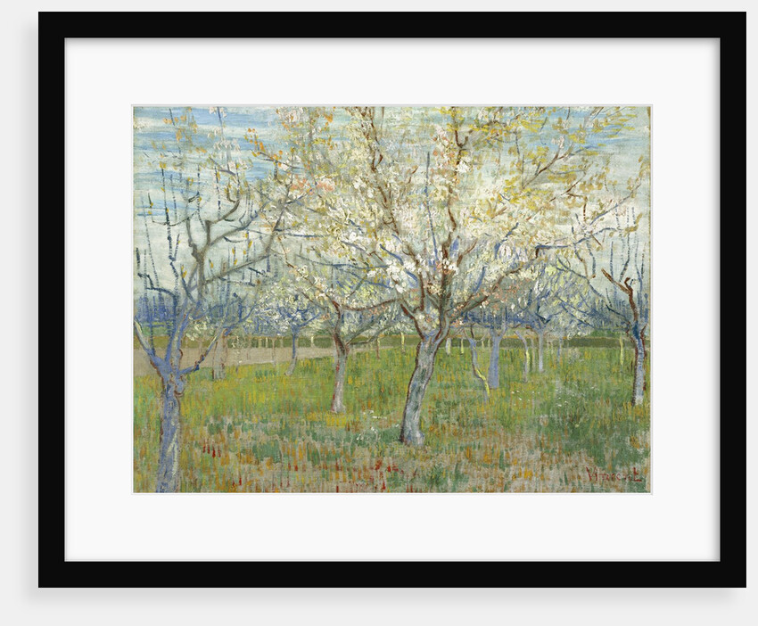 The Pink Orchard by Vincent Van Gogh