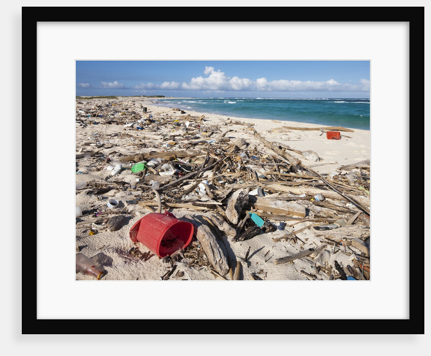Trash-covered beach in Aruba by Anonymous