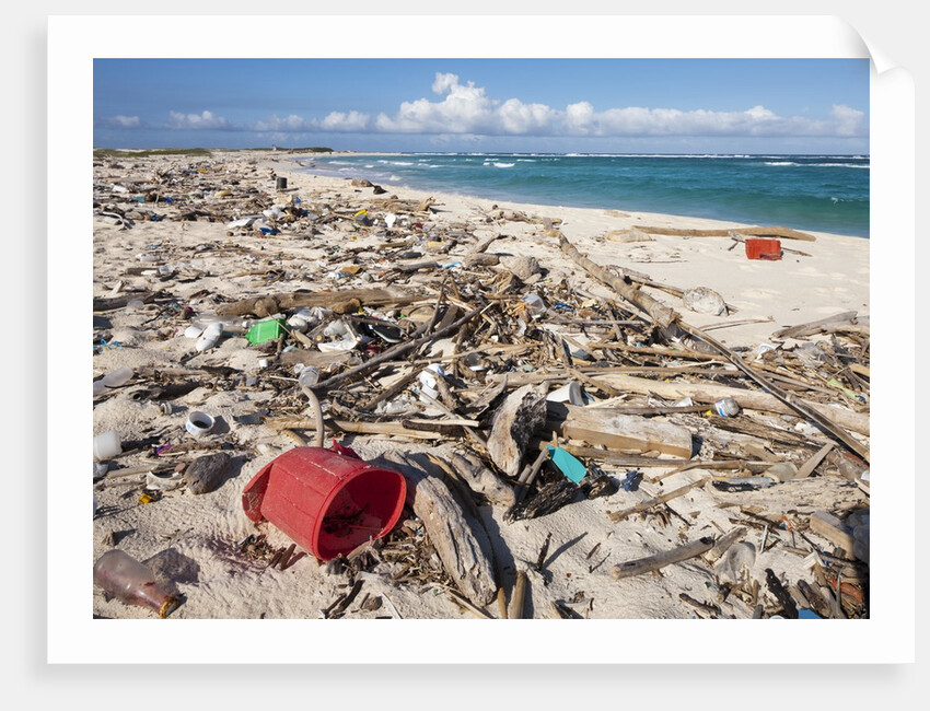 Trash-covered beach in Aruba by Anonymous
