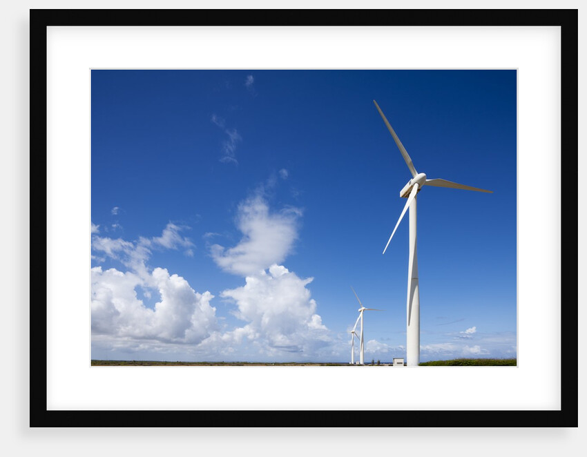Wind Turbines at Curacao by Anonymous