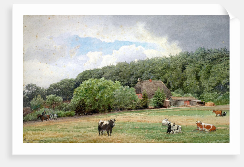 Holstein Cattle in a Field, Timmendorf, Germany by Hans Fredrik Gude