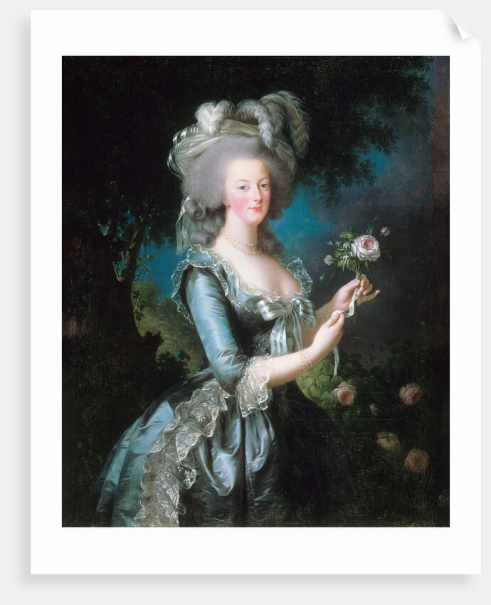 Marie-Antoinette with a Rose by Elisabeth Vigee-Lebrun