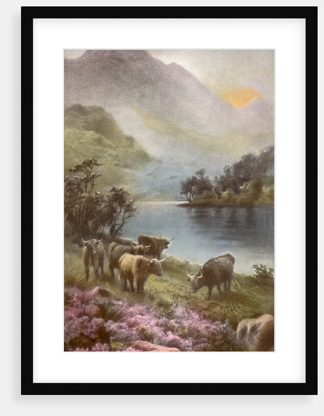 Scene of countryside in Scotland by Anonymous