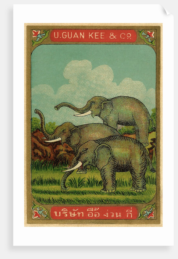 Thai cotton label with elephants by Anonymous
